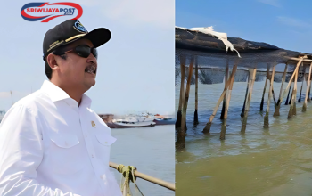 Pagar Laut Tangerang , Komisi IV DPR, Menteri Kelautan dan Perikanan, Proyek Pagar Laut, Dampak Lingkungan Pagar Laut, Nelayan Pesisir Tangerang