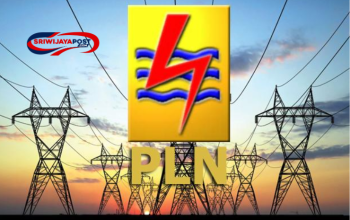 PLN Berikan Klarifikasi Terkait Diskon Listrik Pascabayar 50 Persen