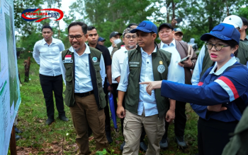 Pembangunan SMA Unggul Garuda, Wamen Stella Tegaskan Komitmen Lindungi Hutan
