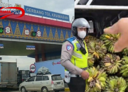 VIRAL! Pengemudi Truk Pisang dan Polisi, Ini Penyebabnya!