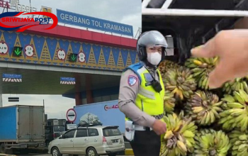 VIRAL! Pengemudi Truk Pisang dan Polisi, Ini Penyebabnya!