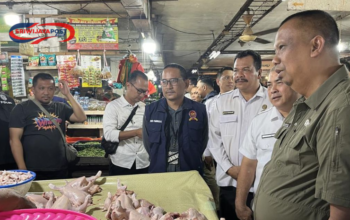 Satgas Pangan Sidak Pasar di Medan, Ini Hasilnya!