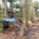 SKK Migas Gencarkan Penertiban Sumur Minyak Ilegal dari Sumsel hingga Aceh!