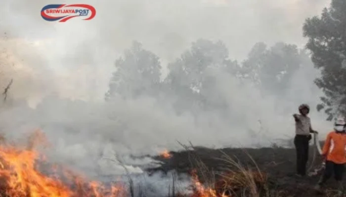 Waspada Kebakaran Hutan! Sumsel Tetapkan Status Siaga Karhutla Jelang Kemarau 2025
