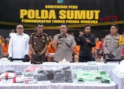 Sumut Genting! Sindikat Narkoba Raksasa Terbongkar
