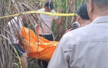 Tragis! Mita Rosnita Tewas di Kebun Tebu, Kasus Masih Misterius