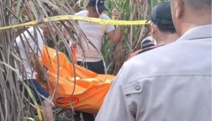 Tragis! Mita Rosnita Tewas di Kebun Tebu, Kasus Masih Misterius