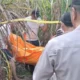 Tragis! Mita Rosnita Tewas di Kebun Tebu, Kasus Masih Misterius