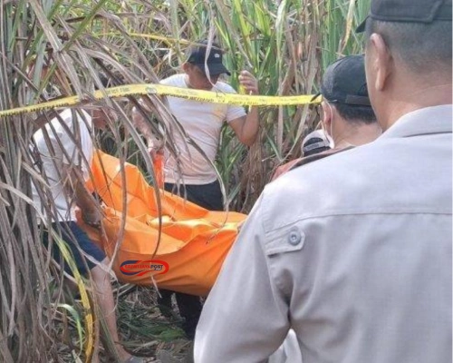 Tragis! Mita Rosnita Tewas di Kebun Tebu, Kasus Masih Misterius