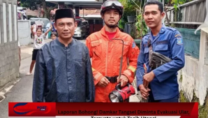 Laporan Bohong! Damkar Tangsel Diminta Evakuasi Ular, Ternyata untuk Tagih Utang