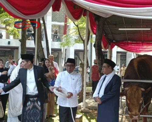 Brawijaya & Jack, Sapi Jumbo 1 Ton dari Prabowo-Gibran untuk Istiqlal!