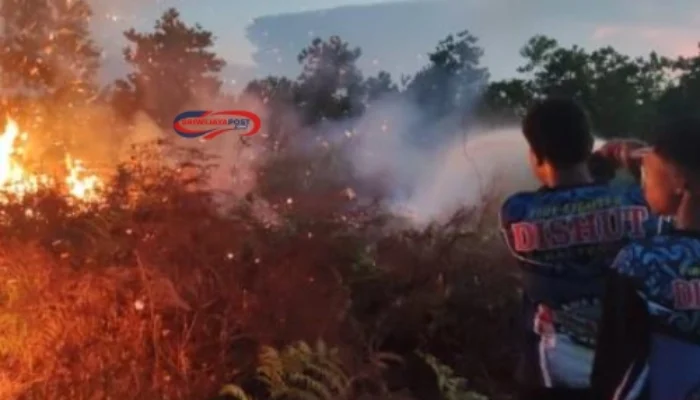 3 Hektare Lahan Terbakar di Kapuas, Pemadaman Tim Dishut Kalteng Terkendala Sumber Air