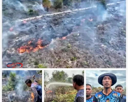 3 Hektare Lahan Terbakar di Kapuas, Pemadaman Tim Dishut Kalteng Terkendala Sumber Air