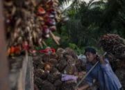 Volume Ekspor Minyak dan Lemak Nabati Provinsi Sumatera Selatan Maret 2025