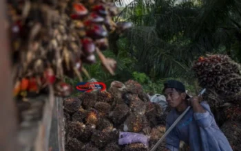 Volume Ekspor Minyak dan Lemak Nabati Provinsi Sumatera Selatan Maret 2025