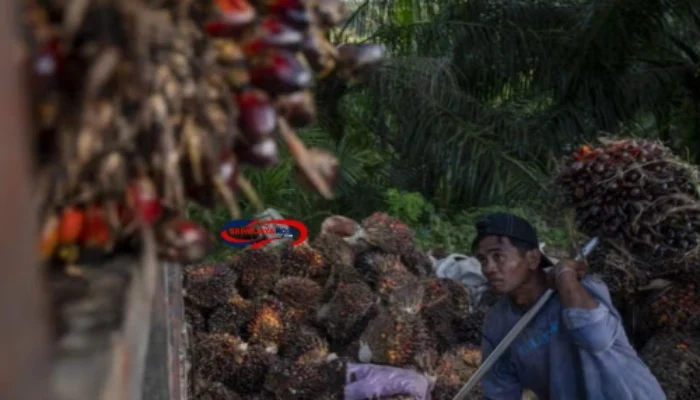 Volume Ekspor Minyak dan Lemak Nabati Provinsi Sumatera Selatan Maret 2025