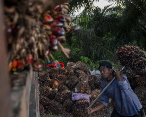 Volume Ekspor Minyak dan Lemak Nabati Provinsi Sumatera Selatan Maret 2025