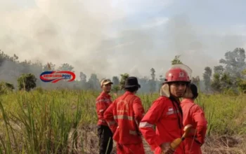 Hotspot Meningkat, Sumsel Siaga Hadapi Puncak Kemarau Juli-Agustus 2025