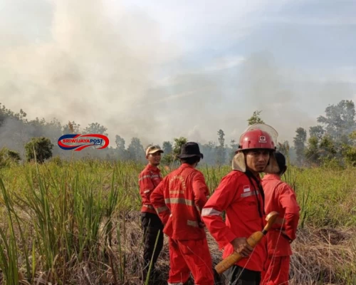 Hotspot Meningkat, Sumsel Siaga Hadapi Puncak Kemarau Juli-Agustus 2025