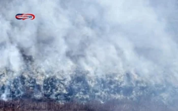Sumsel Siaga Darurat Karhutla Setelah 47 Hektare Lahan Terbakar