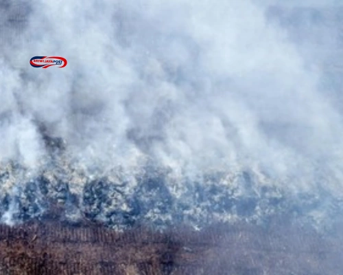 Sumsel Siaga Darurat Karhutla Setelah 47 Hektare Lahan Terbakar