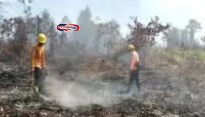Sumsel Siaga Darurat Karhutla Setelah 47 Hektare Lahan Terbakar