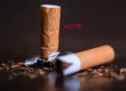 Lebih Banyak Beli Rokok daripada Beras? Ini Fakta Mengejutkan Warga Sumsel