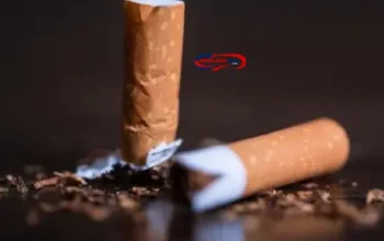Lebih Banyak Beli Rokok daripada Beras? Ini Fakta Mengejutkan Warga Sumsel