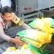 Polda Sumsel Awasi Ketat Beras SPHP: Harga Maksimal Rp12.500!
