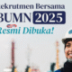 Contoh Portofolio untuk Daftar Rekrutmen Bersama BUMN 2025