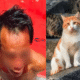 Heboh! Daging Kucing Dijual sebagai Kambing Muda di Pagar Alam 2025