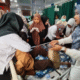 Keracunan Massal MBG Berulang: 5.626 Korban Anak Sekolah di 17 Provinsi