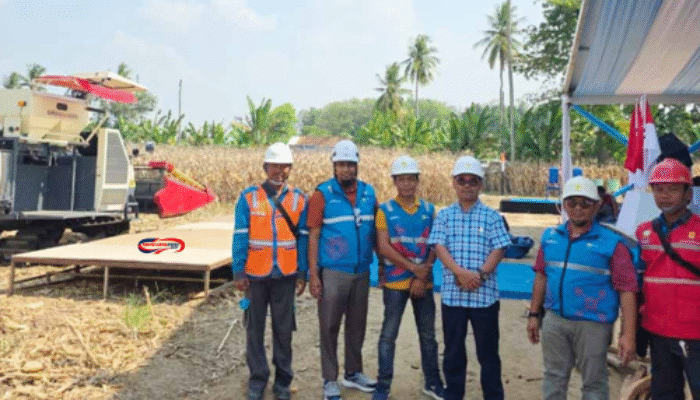 PLN Amankan Listrik Panen Raya Jagung di Sumsel 2025!