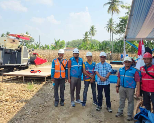 PLN Amankan Listrik Panen Raya Jagung di Sumsel 2025!