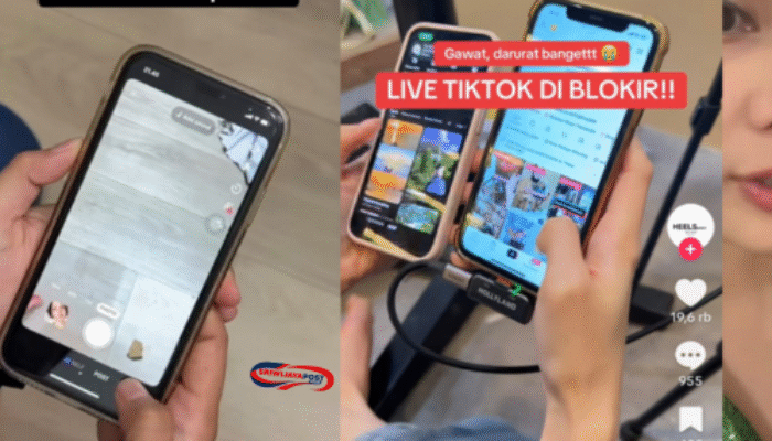 TikTok Hentikan Fitur Live di Indonesia!