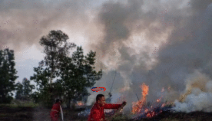 Kebakaran Hutan di Sumsel Picu Asap Pekat di Palembang