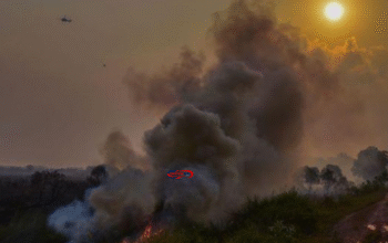 Kebakaran Hutan di Sumsel Picu Asap Pekat di Palembang