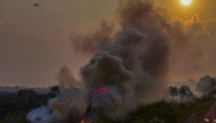 Kebakaran Hutan di Sumsel Picu Asap Pekat di Palembang
