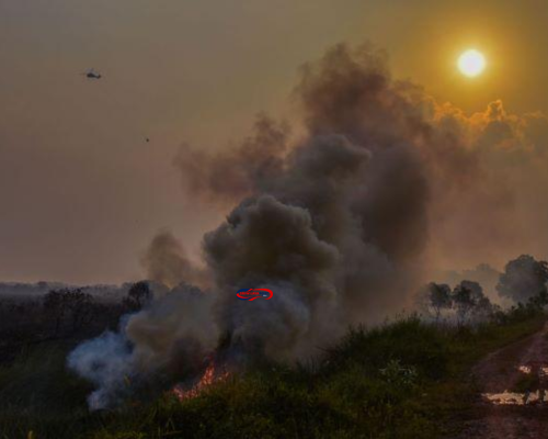 Kebakaran Hutan di Sumsel Picu Asap Pekat di Palembang