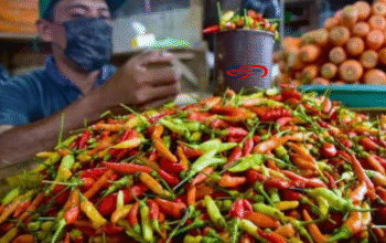 Harga Pangan Terkini Sumsel 2025: Cabai Merah Naik, Cabai Rawit Turun di Tengah Fluktuasi