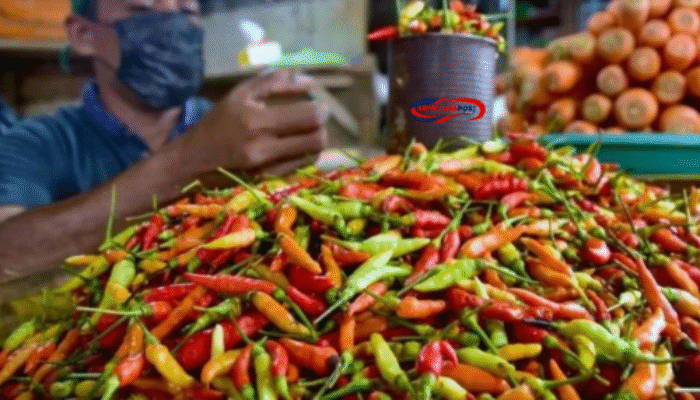 Harga Pangan Terkini Sumsel 2025: Cabai Merah Naik, Cabai Rawit Turun di Tengah Fluktuasi