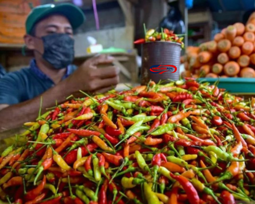 Harga Pangan Terkini Sumsel 2025: Cabai Merah Naik, Cabai Rawit Turun di Tengah Fluktuasi