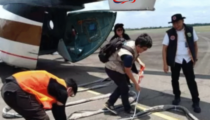 Sumsel Dapat Tambahan Helikopter Patroli Udara untuk Penanganan Karhutla: BNPB Siagakan 2 Unit Baru