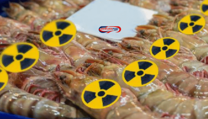 Cs-137 Cemari Udang Ekspor, Impor Besi Tua Dihentikan!