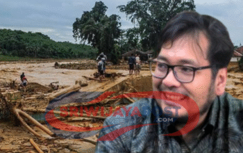 Tambang Emas Jadi Biang Banjir Sumut? Walhi Bongkar Fakta!