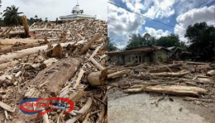 Bupati Aceh Tamiang: Seluruh Desa Lumpuh, Sudah Sebulan Lebih Kami Berusaha Bangkit