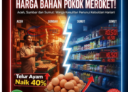 Harga Bahan Pokok di Aceh, Sumbar dan Sumut Meroket: Telur Ayam Naik 40 Persen