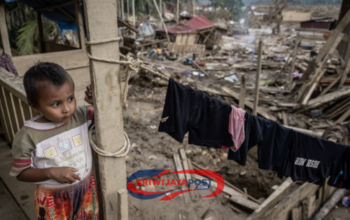 Gubernur Mualem Larang Pengambilan Kayu Banjir Bandang di Aceh