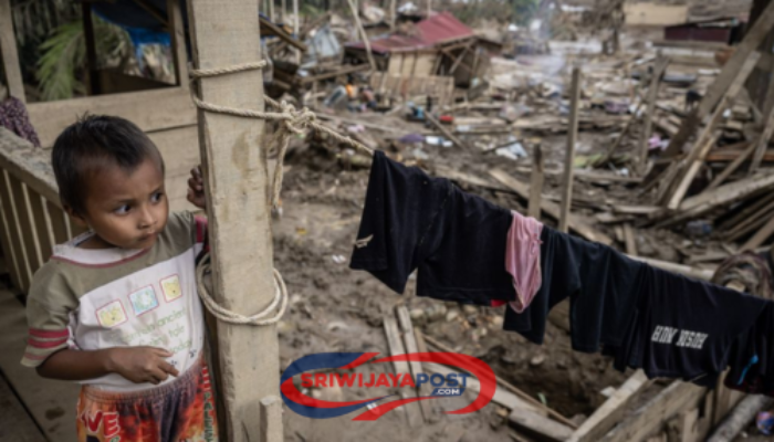 Gubernur Mualem Larang Pengambilan Kayu Banjir Bandang di Aceh: Bisa Jadi Bukti Kejahatan!