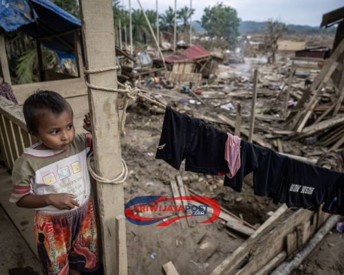 Gubernur Mualem Larang Pengambilan Kayu Banjir Bandang di Aceh